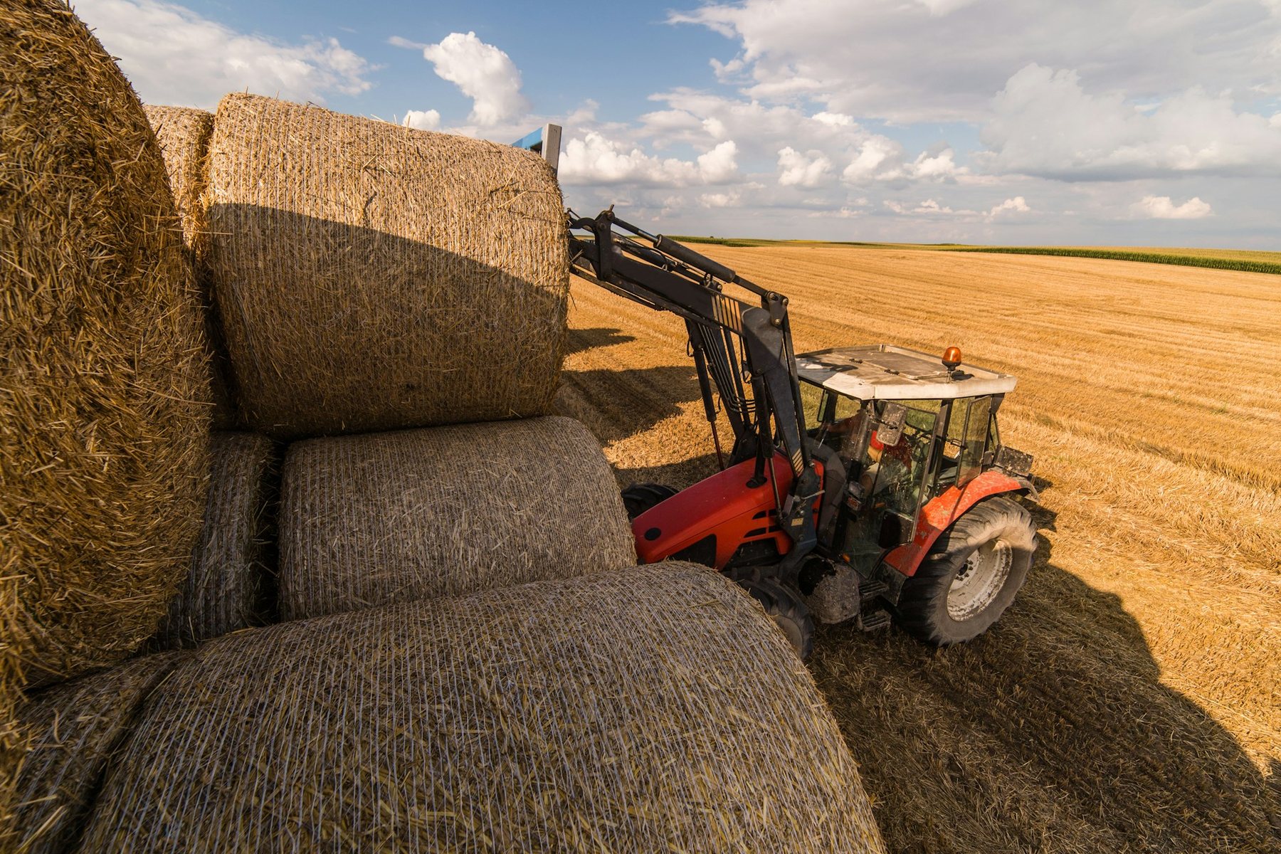 Traktor mit Frontlader stapelt Strohrundballen auf dem Feld