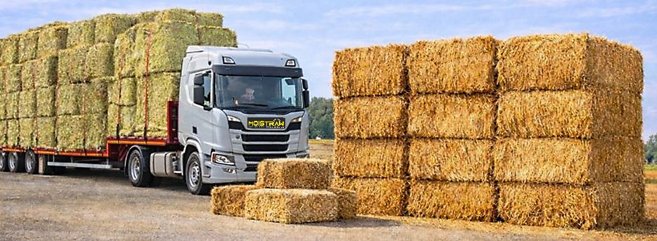 Lkw mit Quaderballen beladen, daneben gestapelte Strohballen